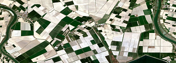 Digital agriculture mapping (Crop monitoring)